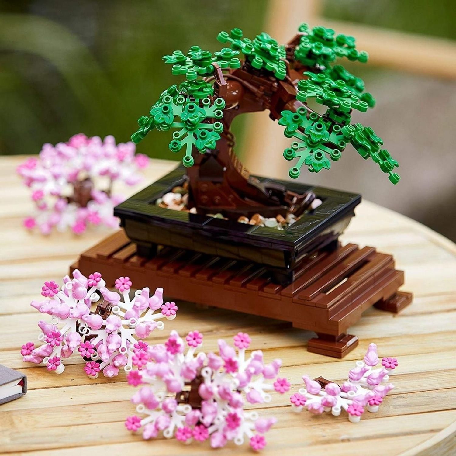Modello di albero bonsai con foglie verdi e tronco marrone in un vaso nero su supporto marrone. Fiori rosa accanto.