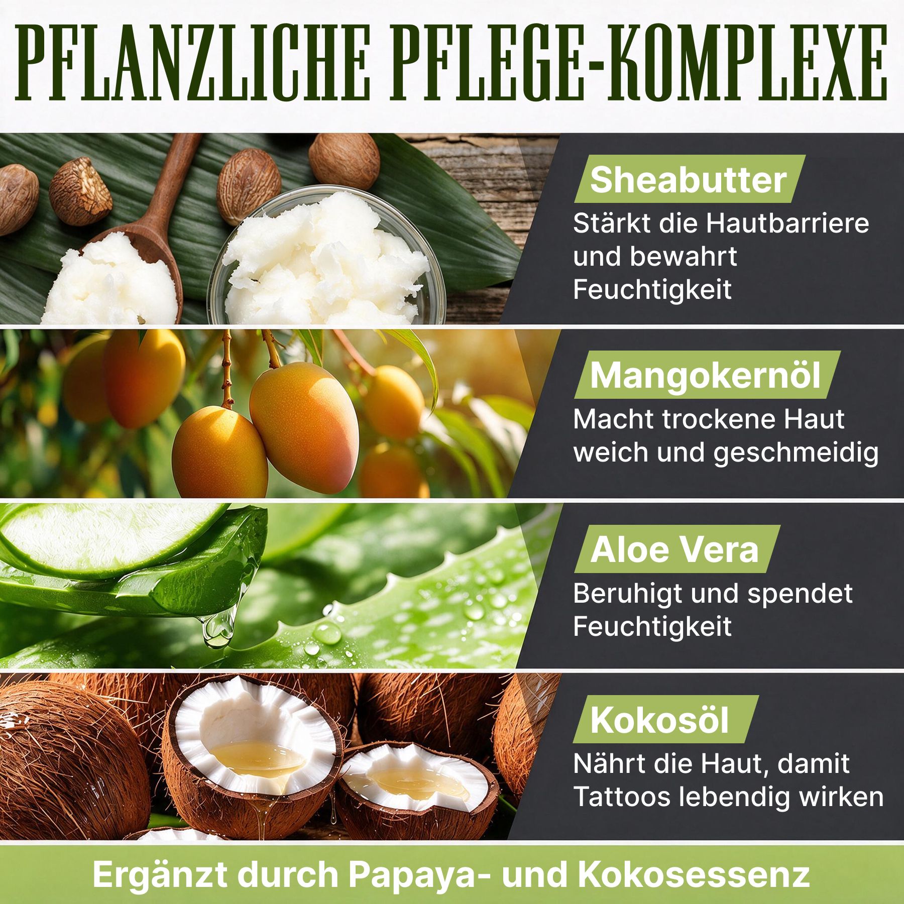 Complessi nutrienti per tatuaggi: burro di karité, olio di mango, aloe vera, olio di cocco.