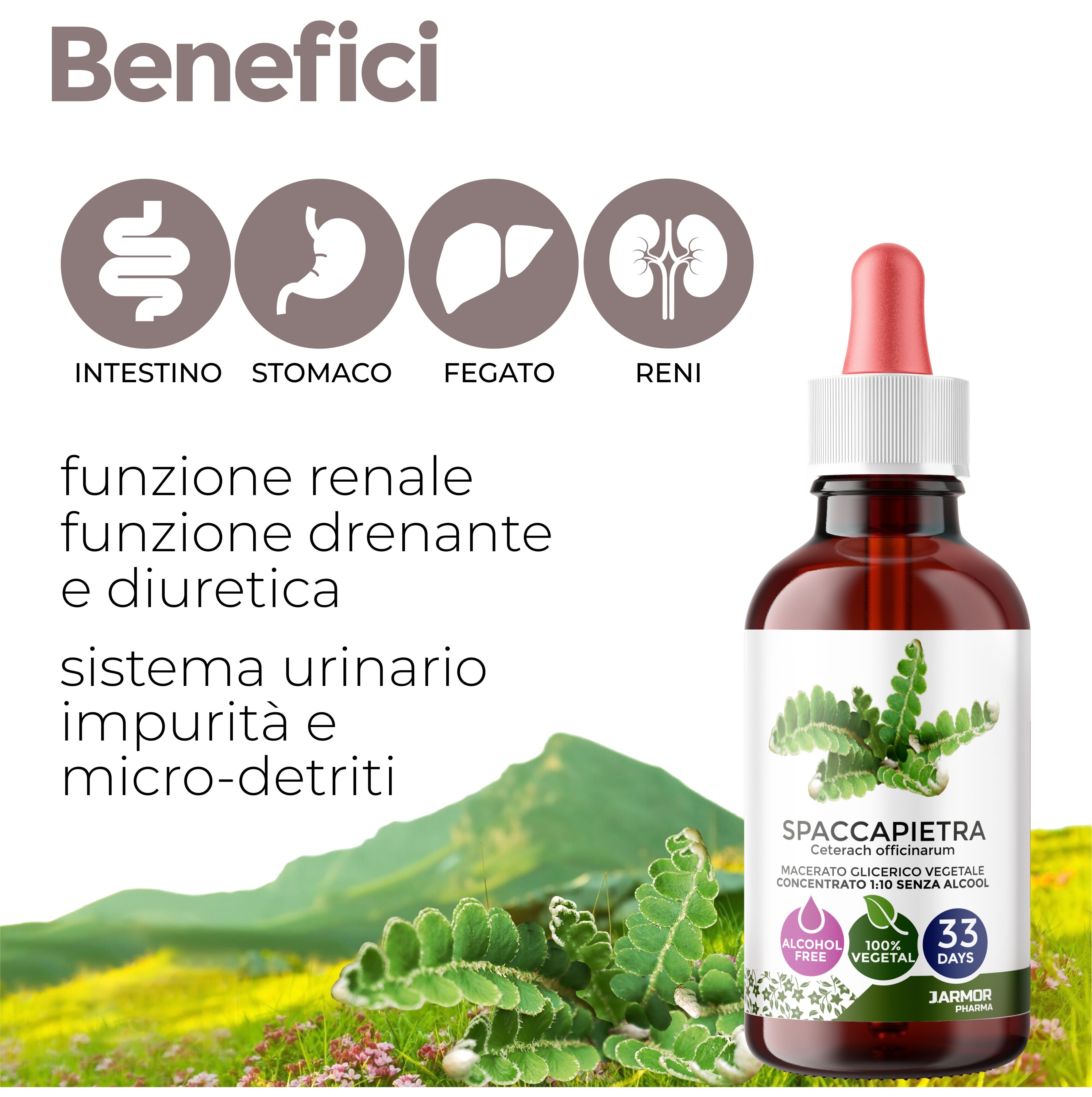 Immagine di organi e flacone. Testo: Funzione renale, funzione drenante e diuretica, sistema urinario, impurità e micro-detriti.