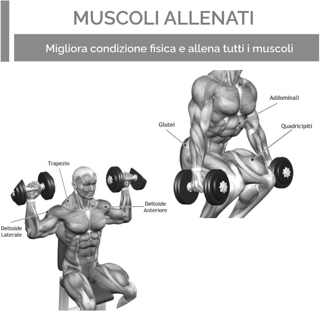 Illustrazioni di persone che usano manubri per allenare i muscoli. Rappresentazione anatomica dei gruppi muscolari.