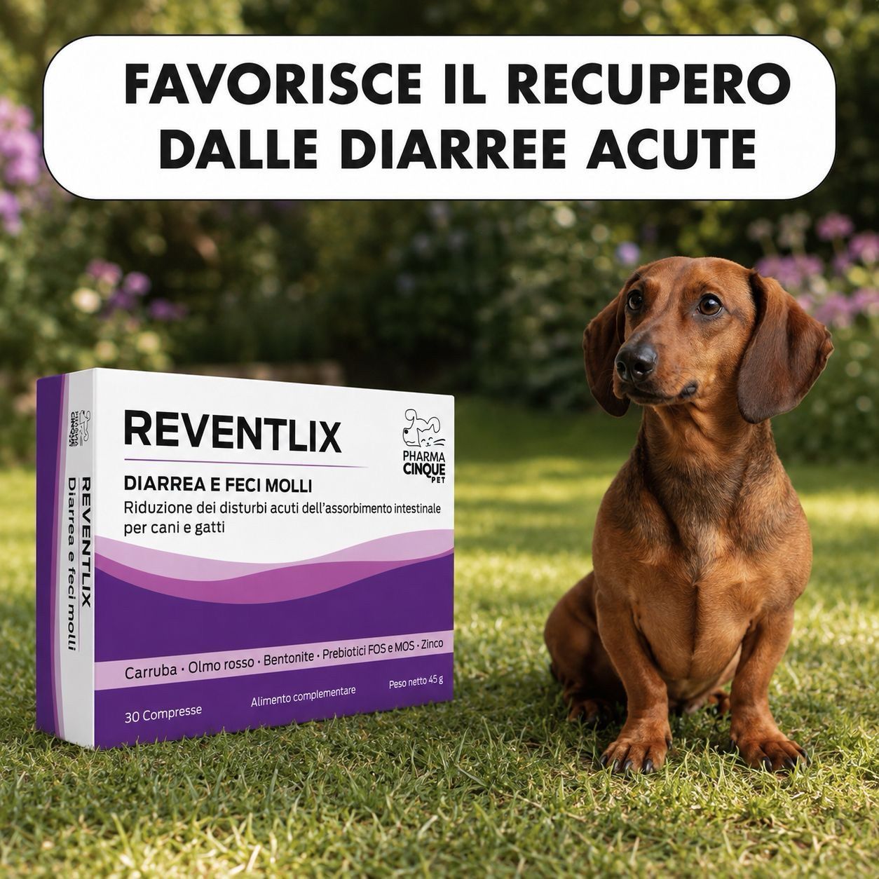 Confezione Reventlix accanto a un bassotto sull'erba.