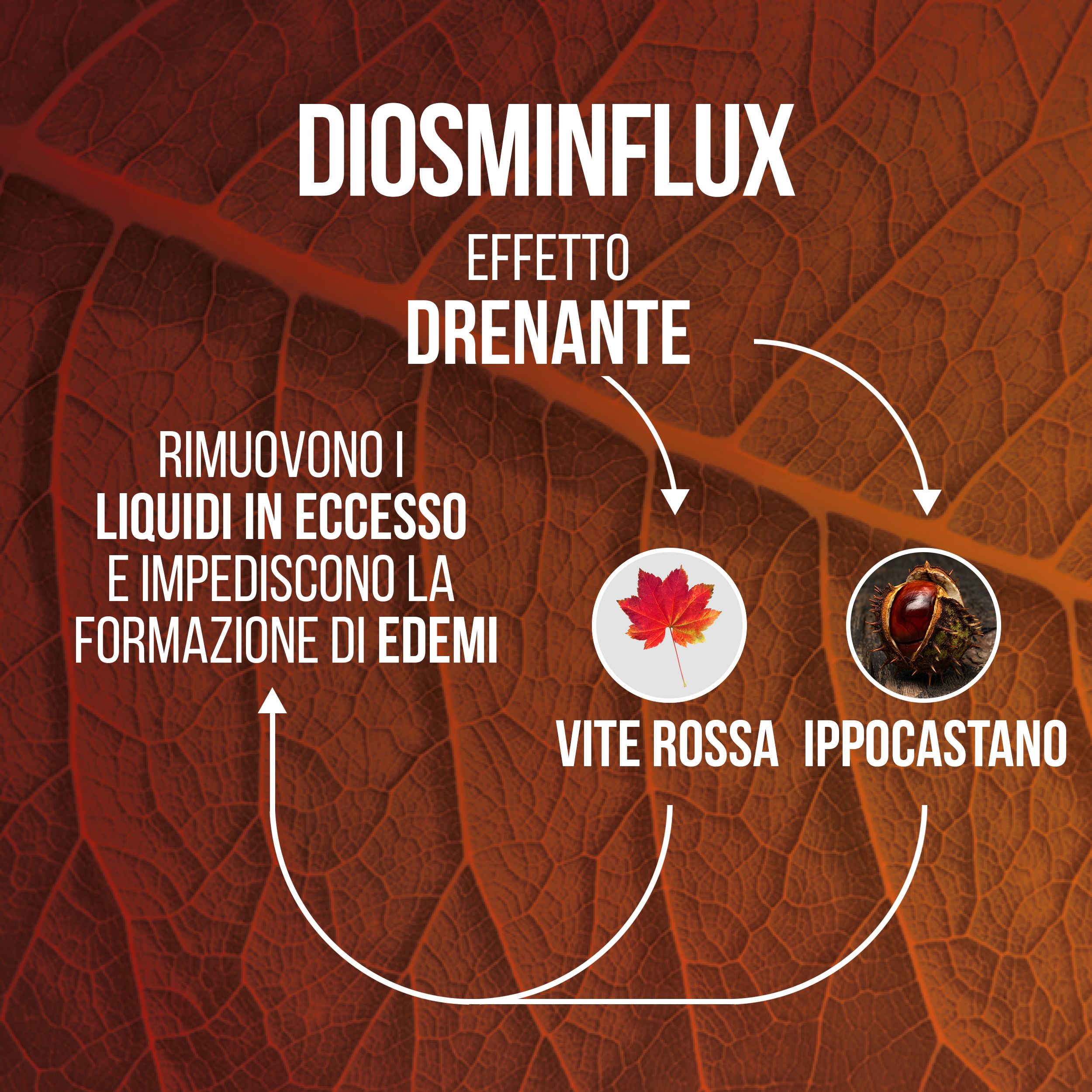 LA.GA Diosminflux Integratore Microcircolo per Vene Varicose