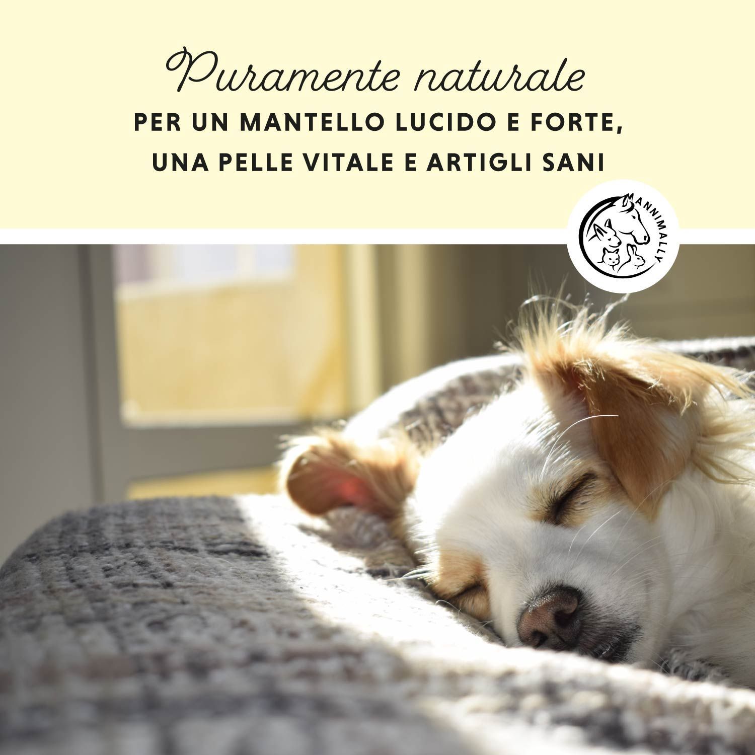 Cane che dorme su una coperta. Testo: Puramente naturale, per un mantello lucido, pelle vitale e unghie sane. Logo: Annimally.