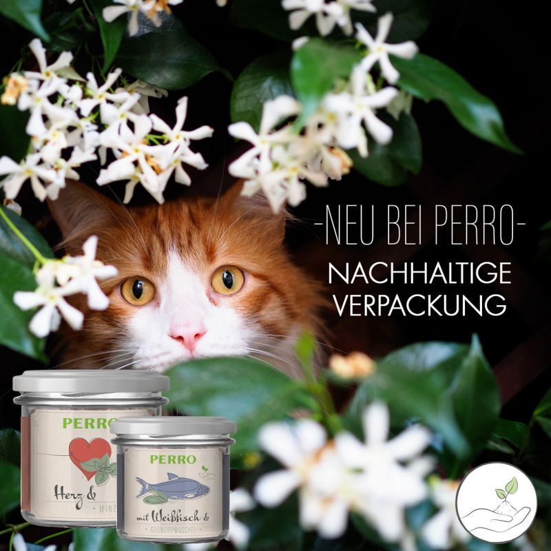 Gatto tra i fiori. Due vasetti con etichette. Testo: NEU BEI PERRO - NACHHALTIGE VERPACKUNG.