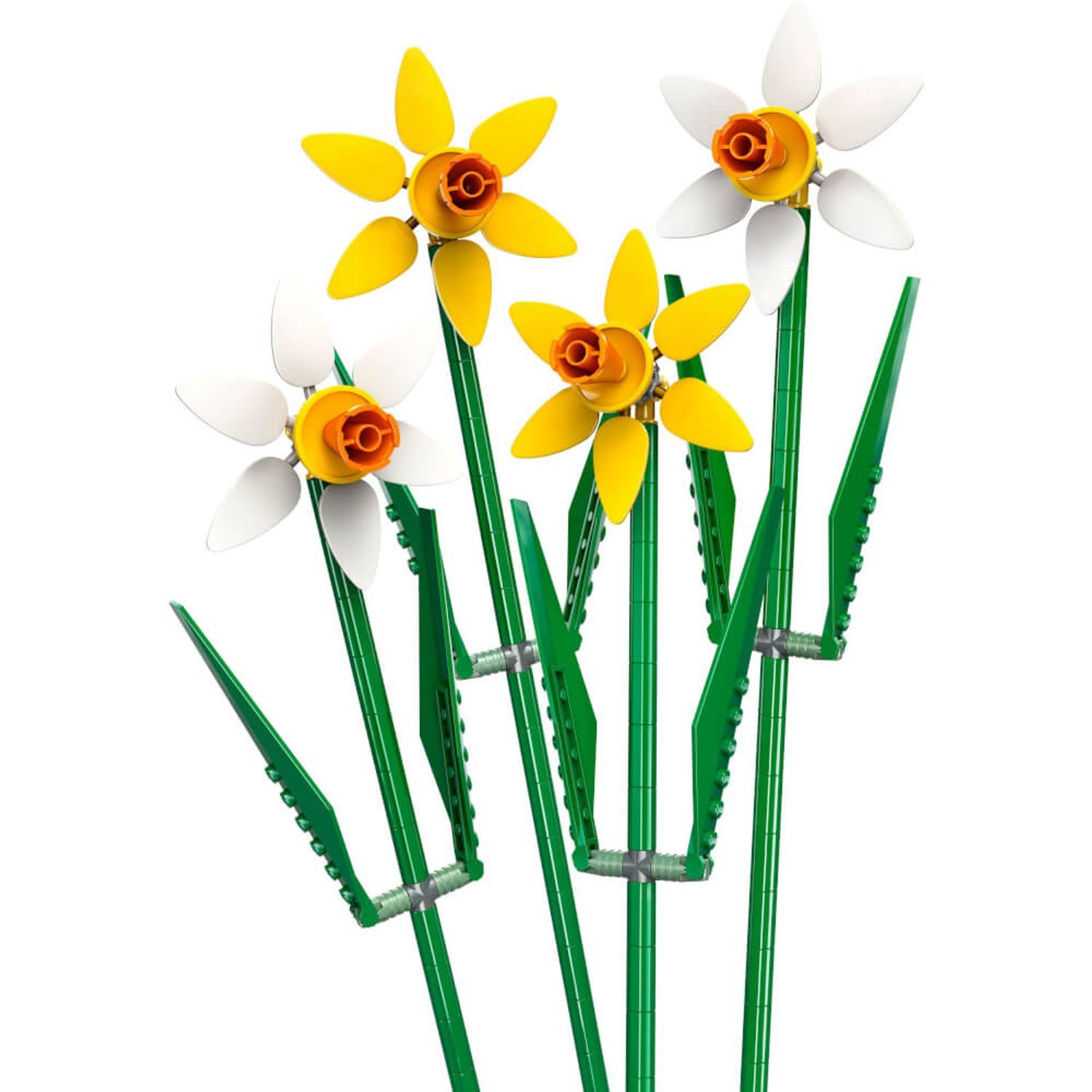 Primo piano di fiori di narciso LEGO con petali gialli e bianchi, steli e foglie verdi.