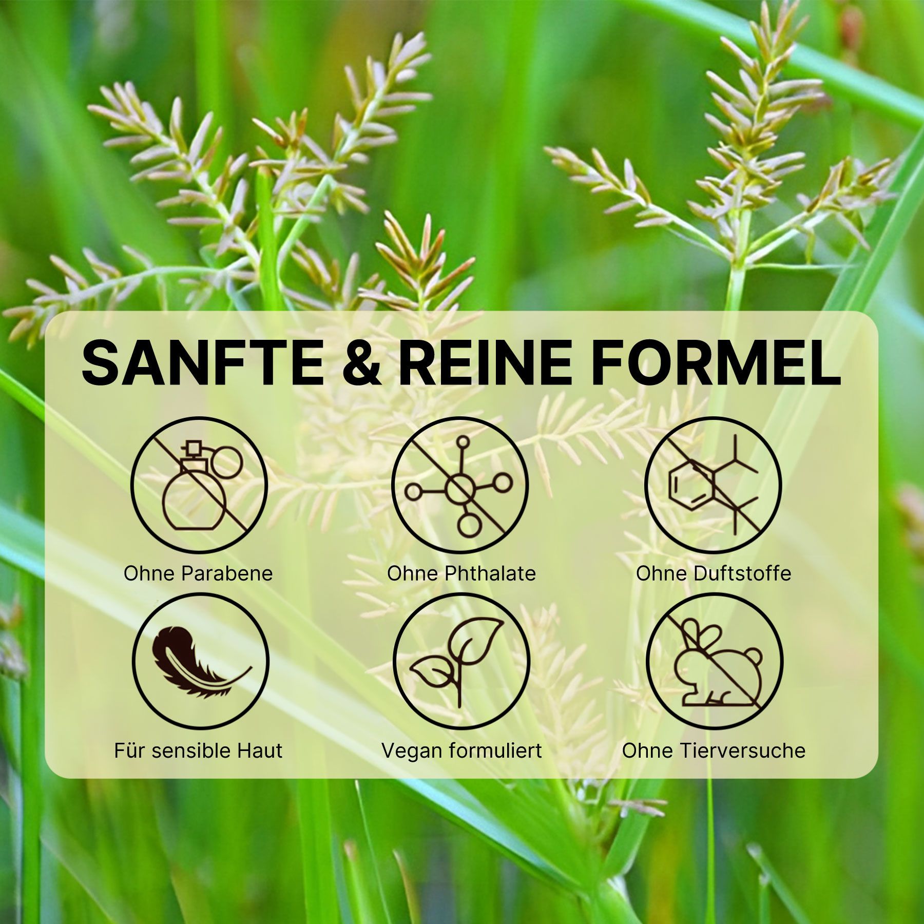 Aliver Olio di Cyperus Rotundus per la cura della pelle, riduzione della crescita dei peli