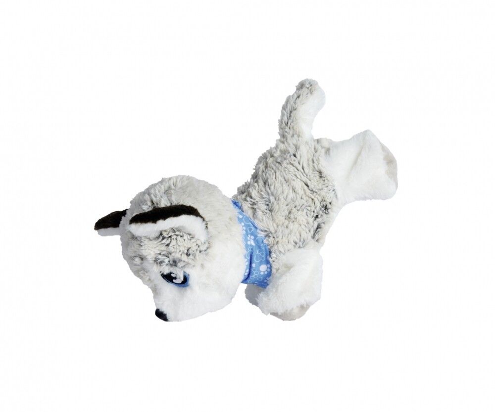 Cane di peluche, collare blu. Pelliccia bianca e grigia, occhi blu. Posizione sdraiata, testa di lato.