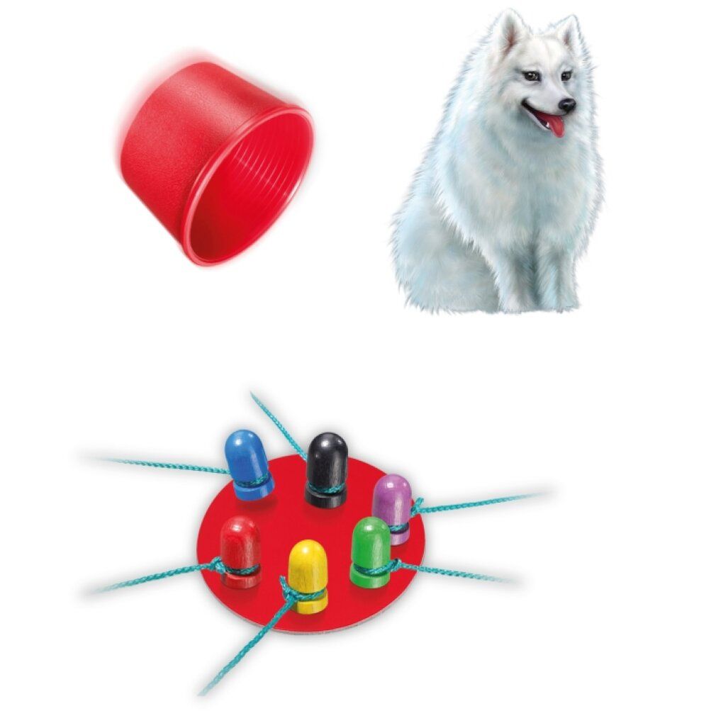 Attenzione agli Spitz!