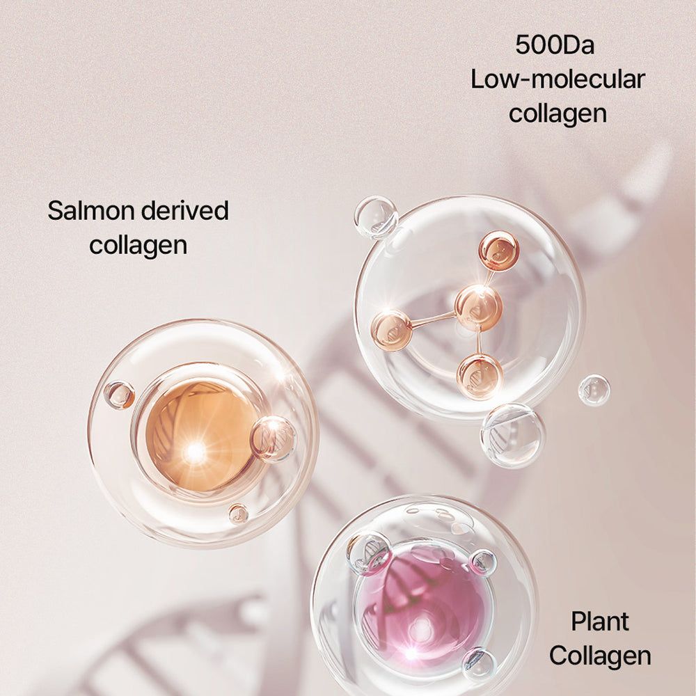 Tre cerchi trasparenti con contenuti: collagene di salmone e vegetale, e molecole. Testo: 500Da Low-molecular collagen.
