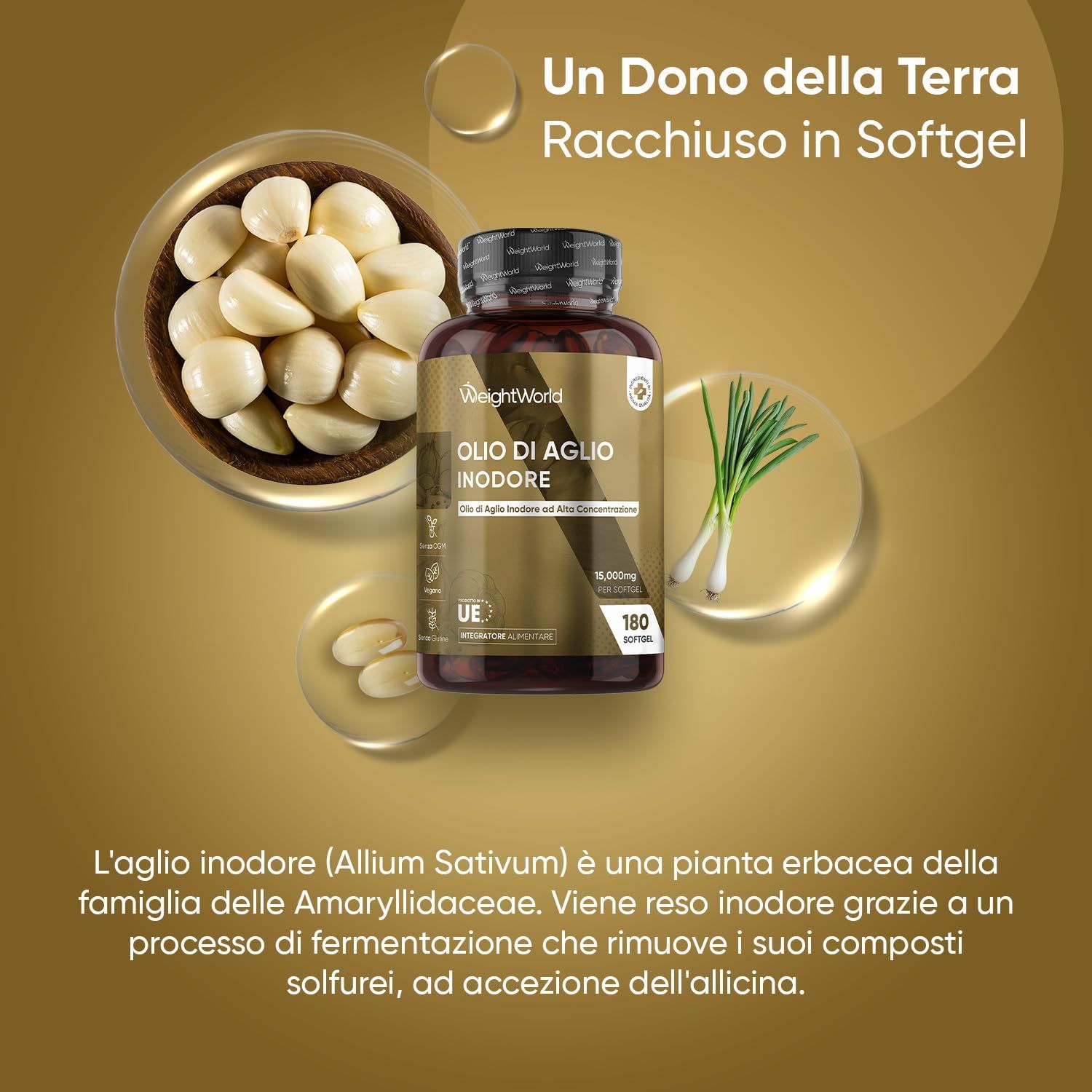 Grafica con aglio e capsule. Testo: Un Dono della Terra Racchiuso in Softgel. Olio di Aglio Inodore.
