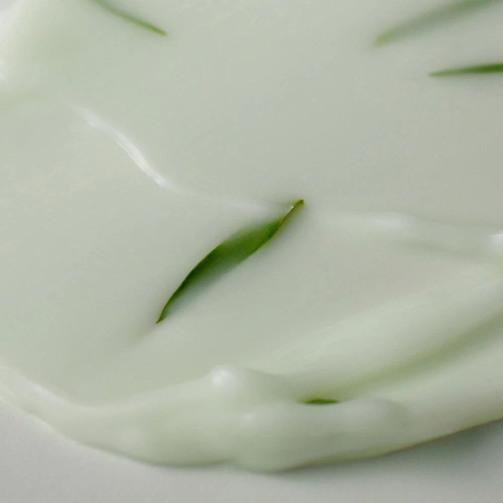 Primo piano di crema bianca con foglie verdi. La crema ha una consistenza liscia. Alcune foglie sono visibili.