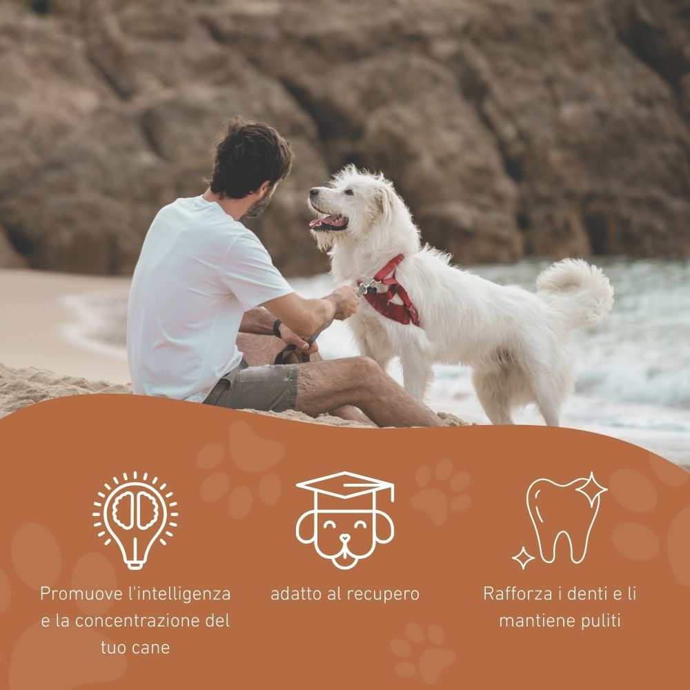 Wildfang Flying Rocket "Rocket" - 100% gomma naturale