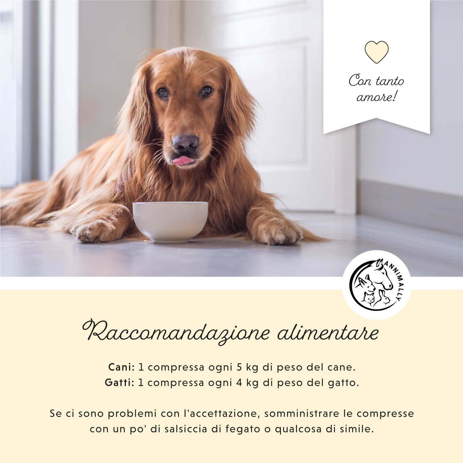 Golden Retriever con ciotola. Testo: Raccomandazioni alimentari per cani e gatti. Logo.
