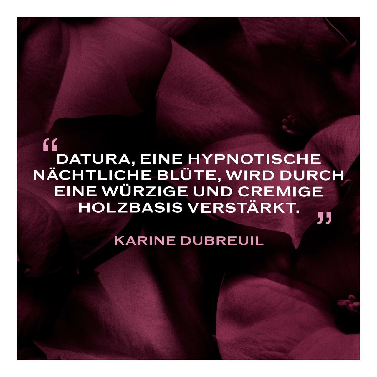 Citazione testuale: DATURA, un fiore notturno ipnotico, è esaltato da una base legnosa speziata e cremosa. Karine Dubreuil.