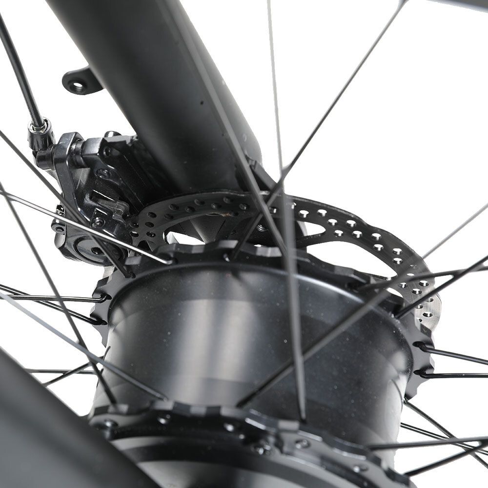 RICH BIT C01 Mountain bike elettrica, batteria da 48 V 20 Ah, sospensioni complete
