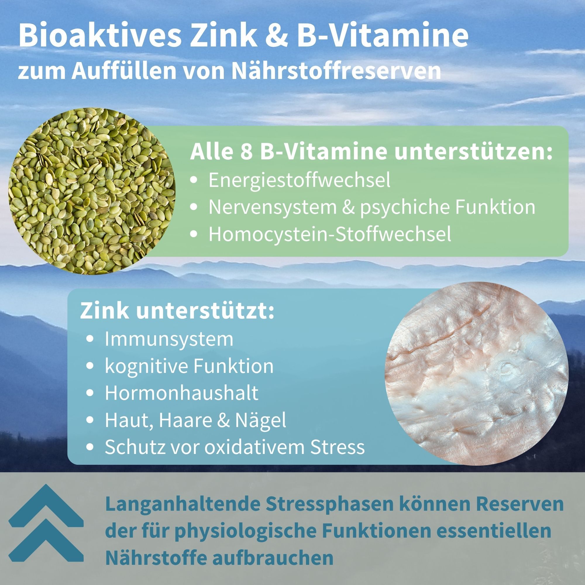 Infografica: Zinco bioattivo e Vitamine B per ripristinare le riserve di nutrienti.