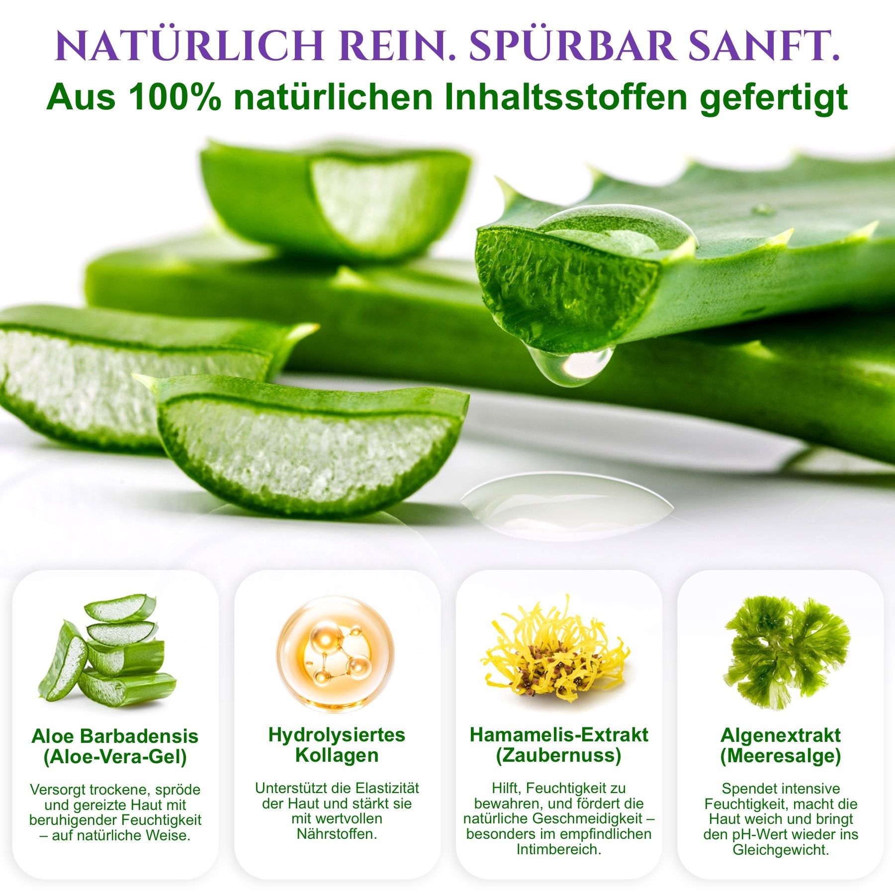 Foglie di aloe vera e testo. Quattro icone con testo. Testo: Realizzato con ingredienti naturali al 100%. Aloe vera, collagene idrolizzato, estratto di amamelide, estratto di alghe.