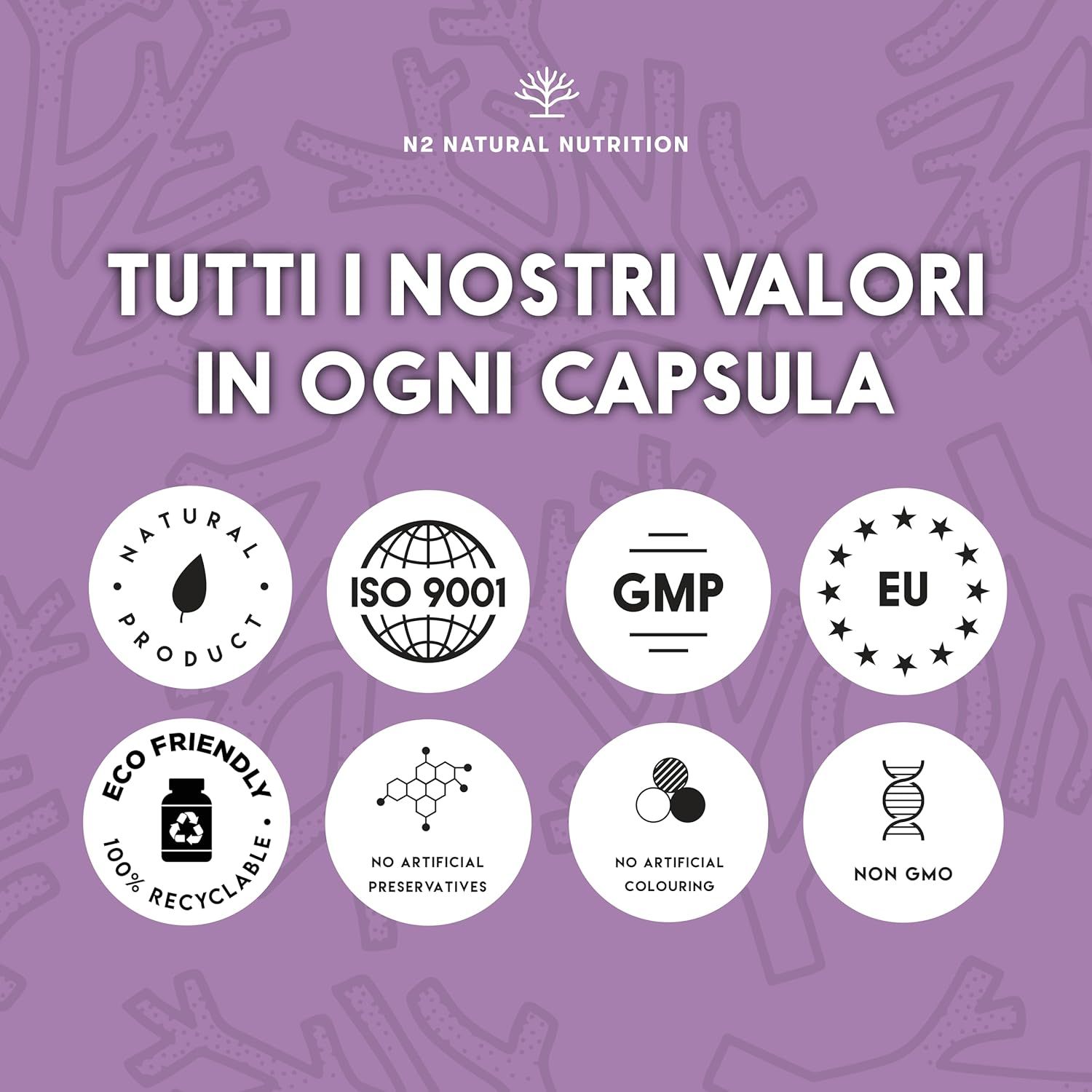 Loghi circolari. Testo: Natural Product, ISO 9001, GMP, EU, Recyclable, No Artificial Preservatives.