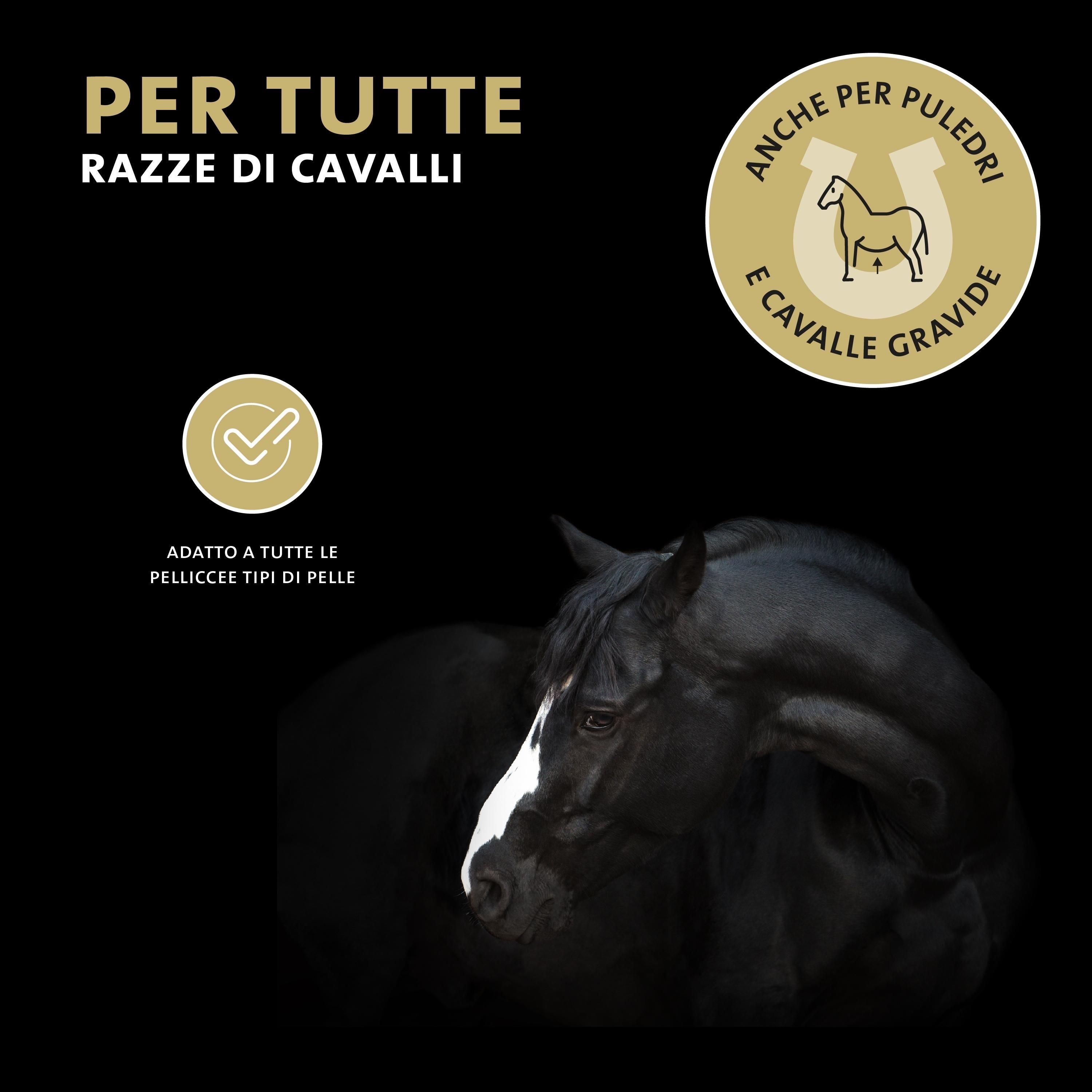 Sfondo nero con un cavallo. Testo: Per tutte le razze di cavalli. Adatto a puledri e cavalle gravide. Adatto a tutti i tipi di pelle.