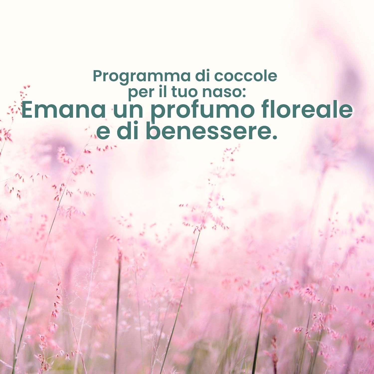 Fiori rosa su sfondo rosa. Testo: Programma coccole per il tuo naso: Emana un profumo floreale e di benessere.