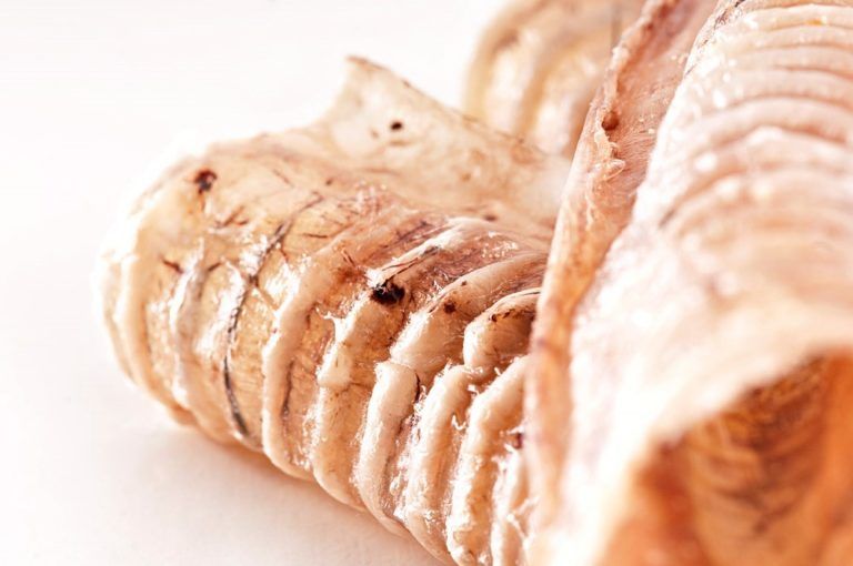 Primo piano di trachea di manzo essiccate. Le trachea sono marroni chiare e tubolari. La superficie è striata.