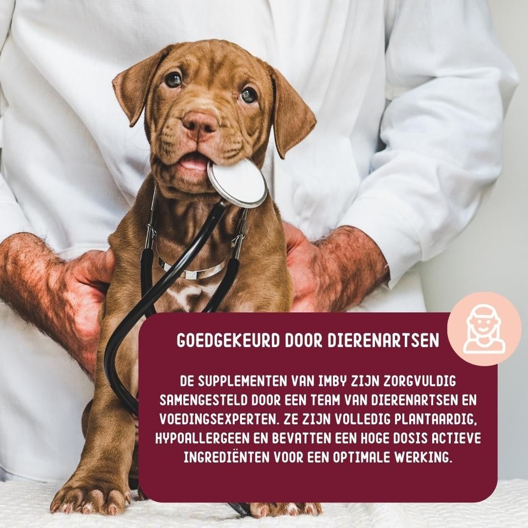 Integratori per cani Imby, approvati dai veterinari, ipoallergenici.
