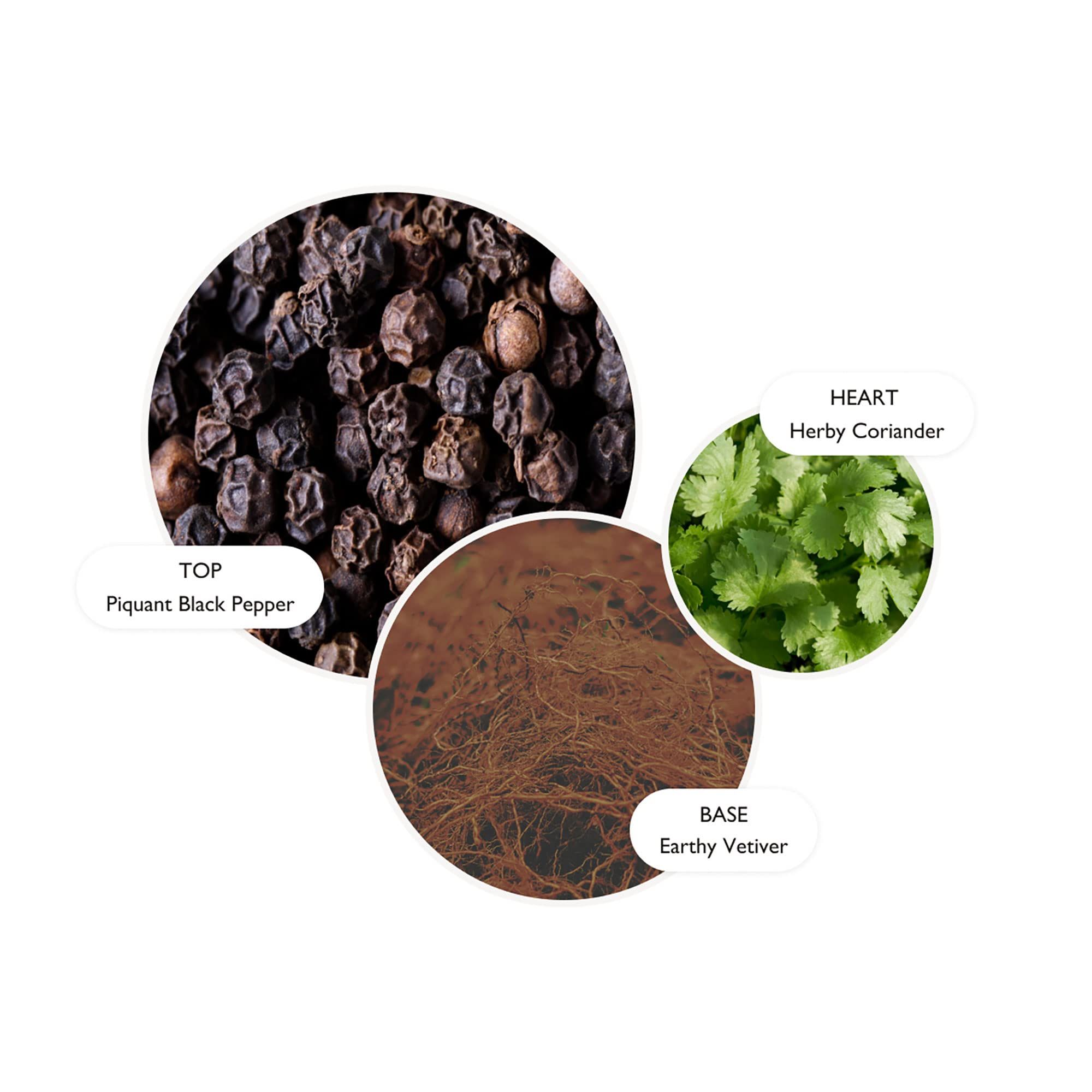 Tre cerchi con ingredienti: pepe nero, coriandolo e vetiver. Testo: Piquant Black Pepper, Herby Coriander, Earthy Vetiver.
