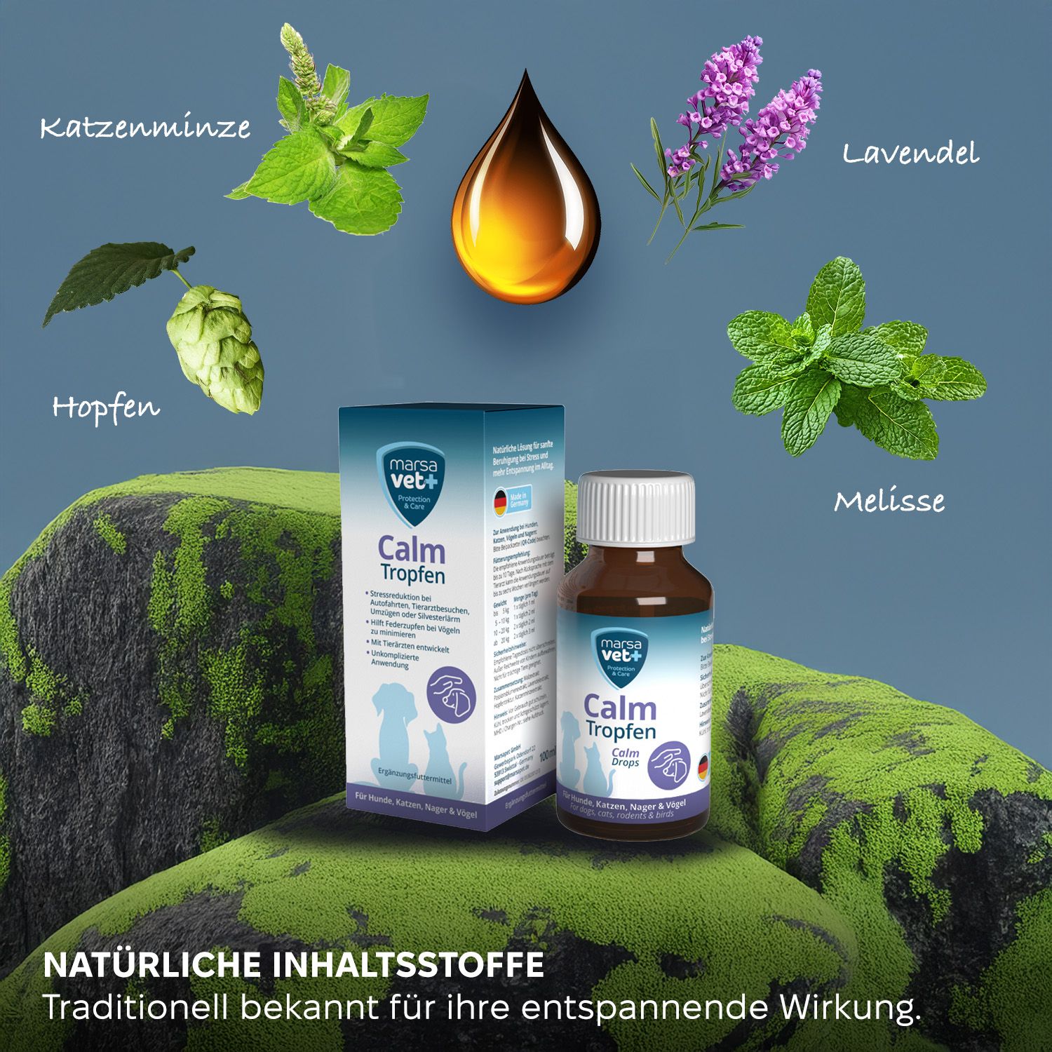 Flacone e scatola su muschio. Piante raffigurate: erba gatta, luppolo, lavanda, melissa.