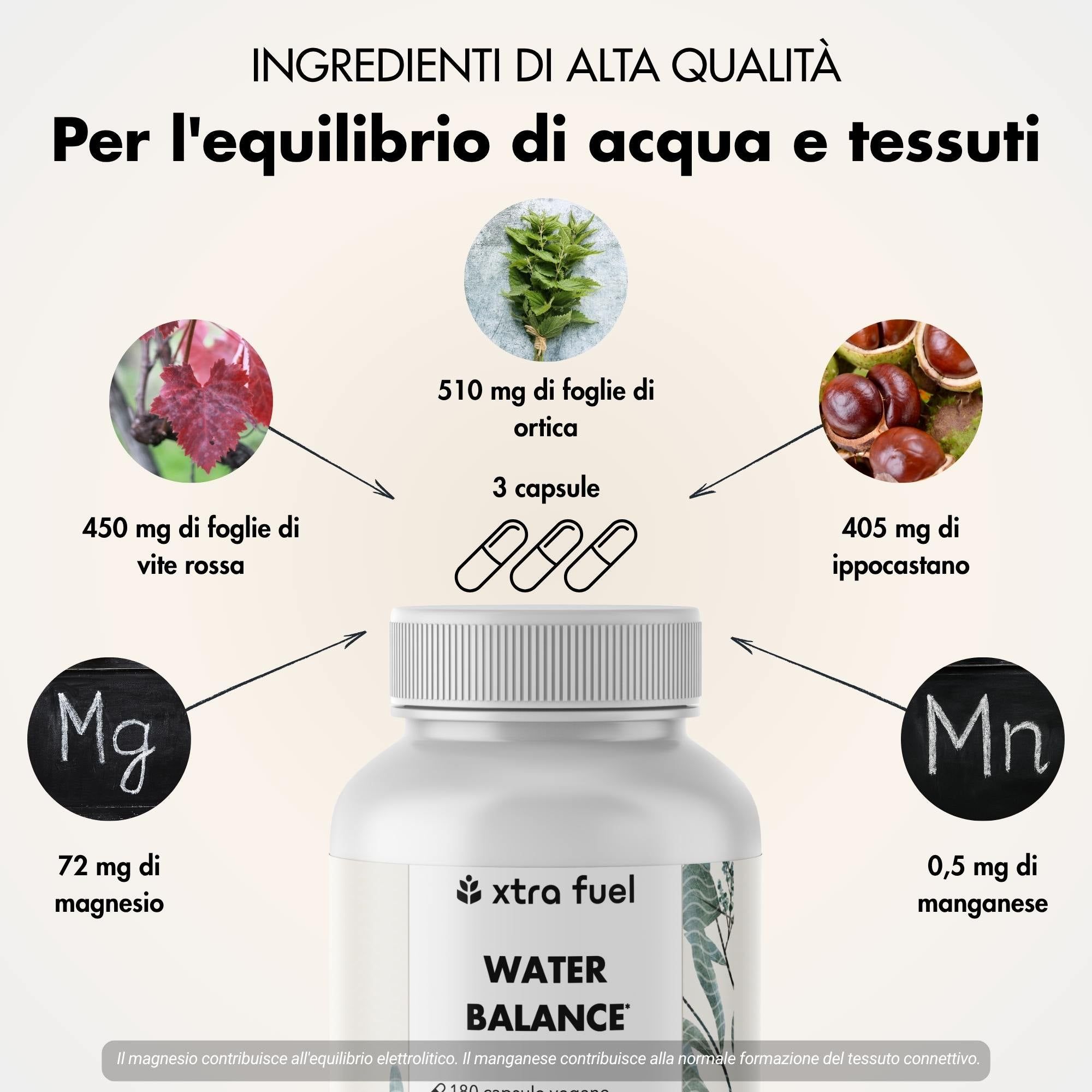 XTRA FUEL Water Balance - Complesso nutritivo 5 in 1 con ortica, foglie di vite rossa e ippocastano