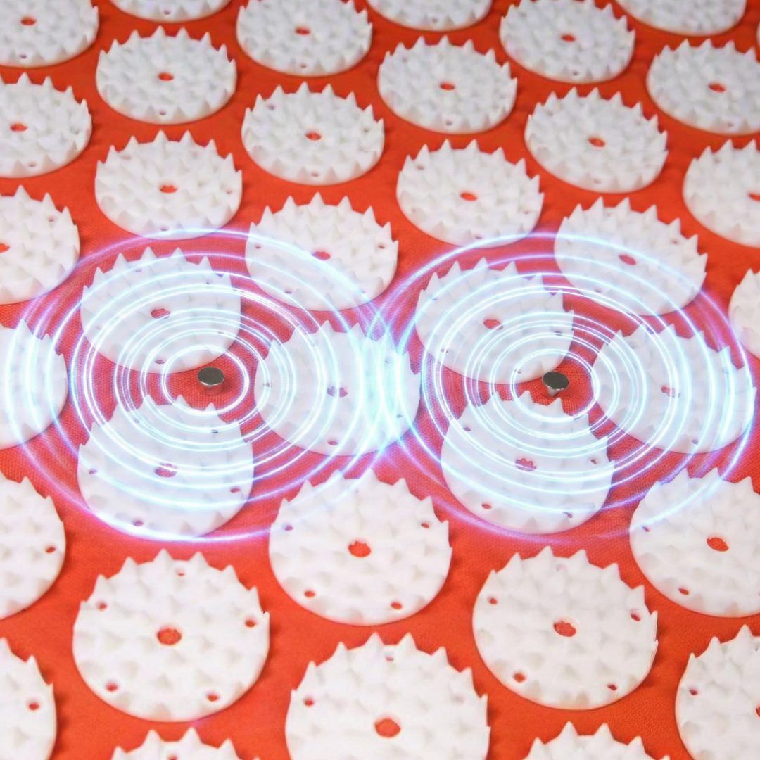 Thermo Mag Mysa Duo XXL: Magnetic Mysa XXL + Cuscino con Magneti