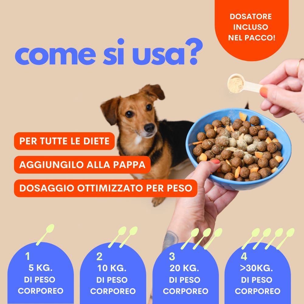 JAMPY Multivitaminico Cani The Good Boy