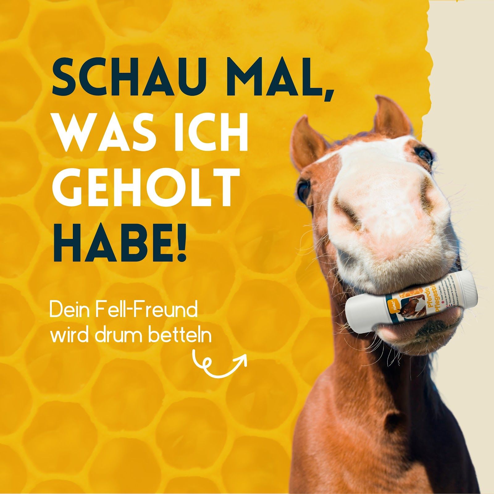 Cavallo con stick in bocca. Testo: Guarda cosa ho preso! Il tuo amico peloso ti supplicherà.