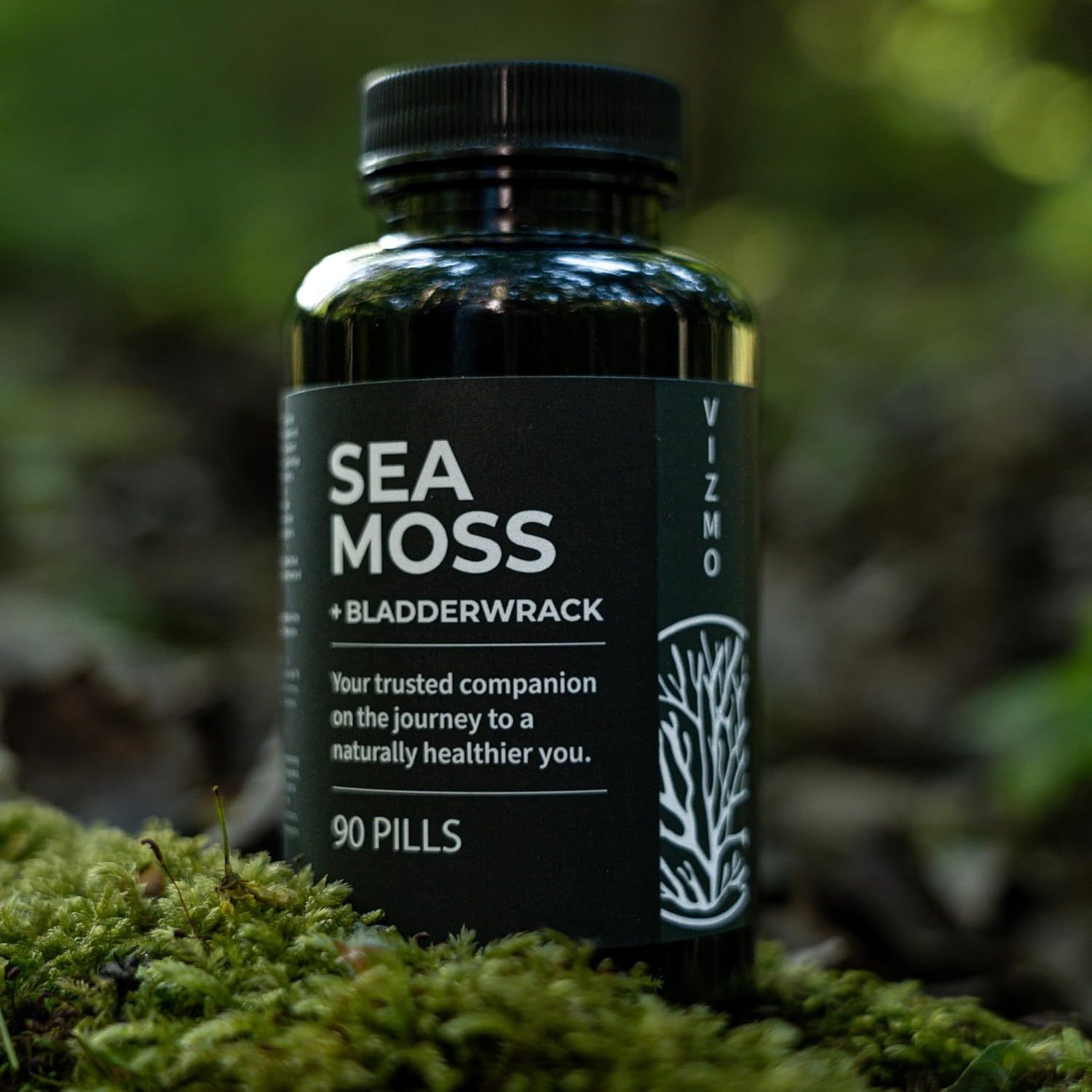Flacone nero di capsule Sea Moss nel muschio. Testo: Sea Moss + Bladderwrack, 90 Pills.