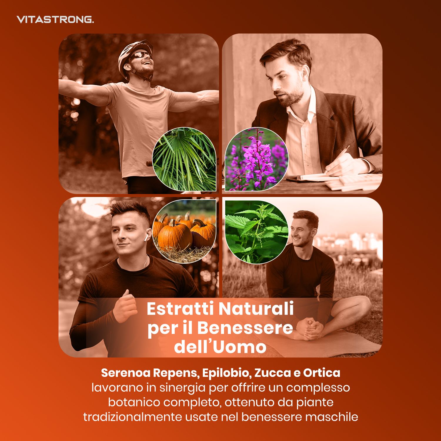 Vitastrong Prosta Pro. Immagini di piante e uomini. Testo: Estratti naturali per il benessere dell'uomo.