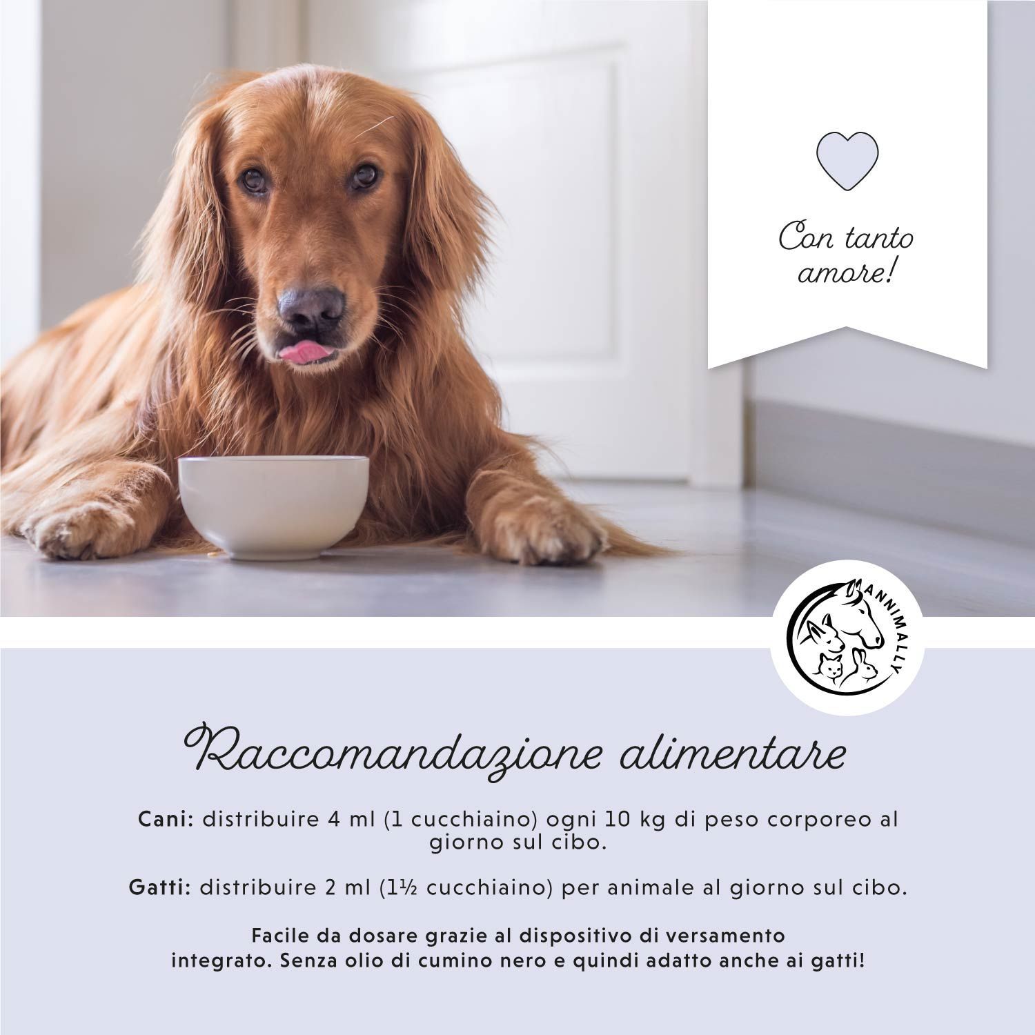 Cane sdraiato accanto a una ciotola. Testo: Raccomandazioni alimentari per cani e gatti. Logo con illustrazioni di animali. Simbolo del cuore.