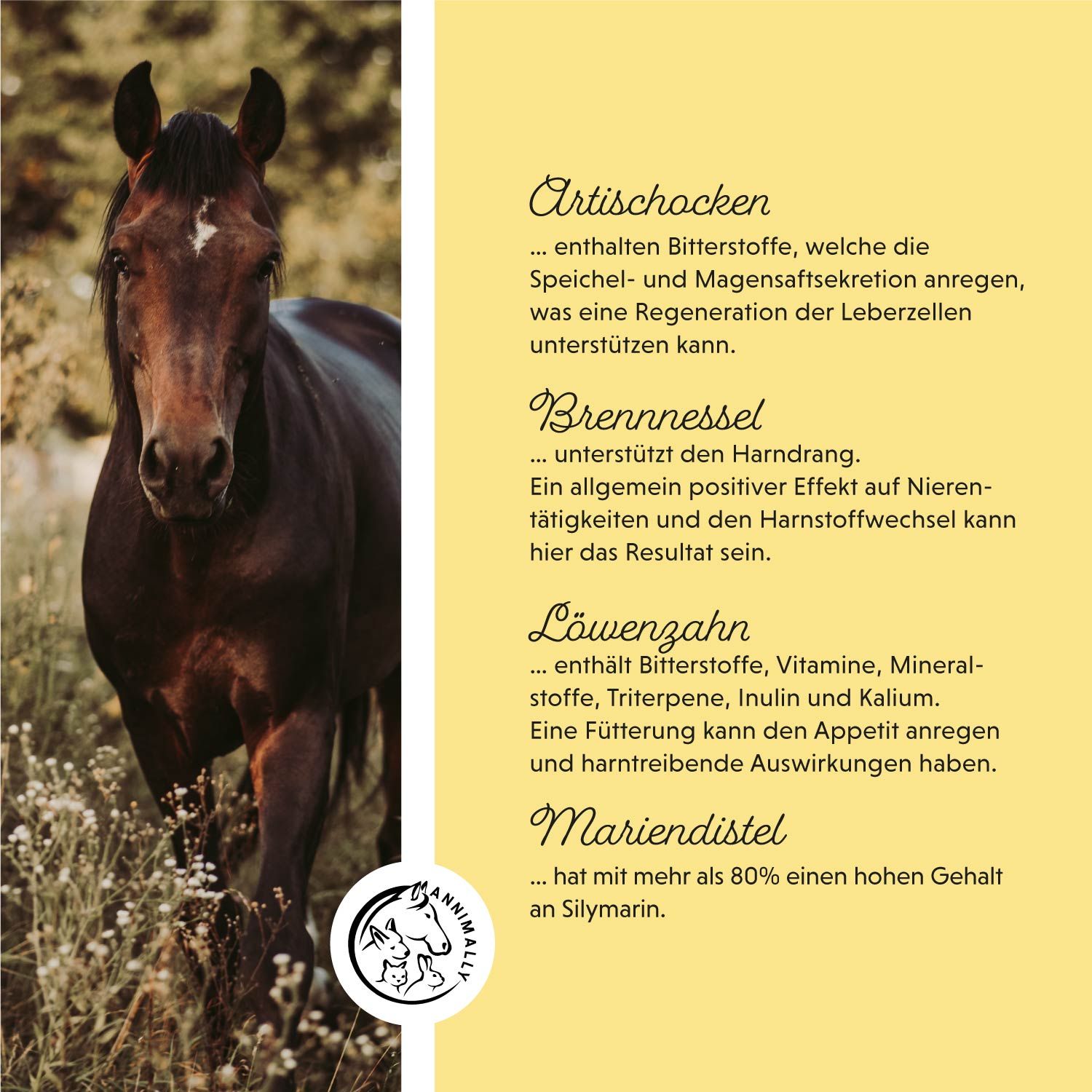 Cavallo su sfondo giallo. Testo su carciofi, ortica, tarassaco e cardo mariano. Logo con cavallo, coniglio e gatto.