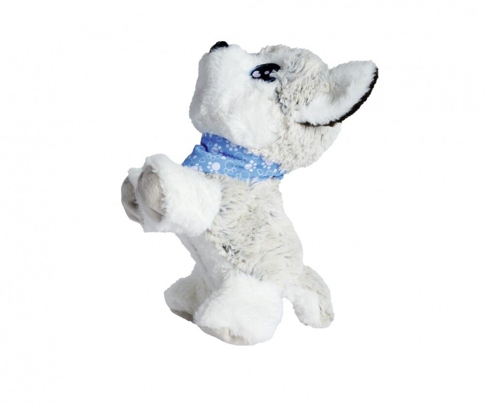 Cane di peluche, collare blu. Pelliccia bianca e grigia, occhi blu. Posizione eretta, sguardo verso l'alto.