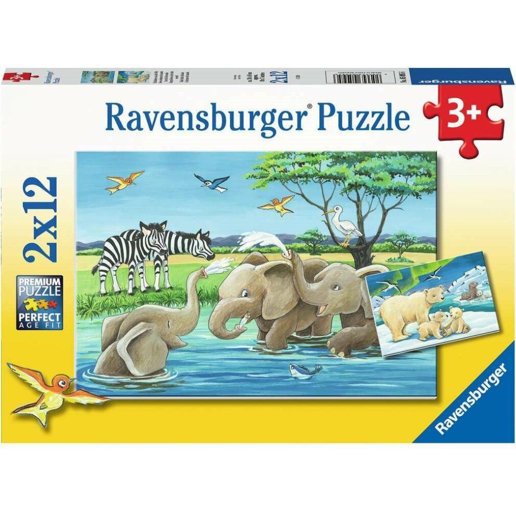 Scatola puzzle con animali: zebre, elefanti, orsi polari. 2x12 pezzi. Puzzle Ravensburger. Età 3+.
