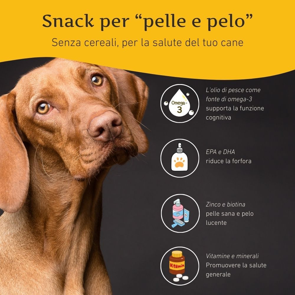 Cane con testo su Omega-3, EPA/DHA, zinco/biotina e vitamine/minerali. Informazioni per pelle e pelo.