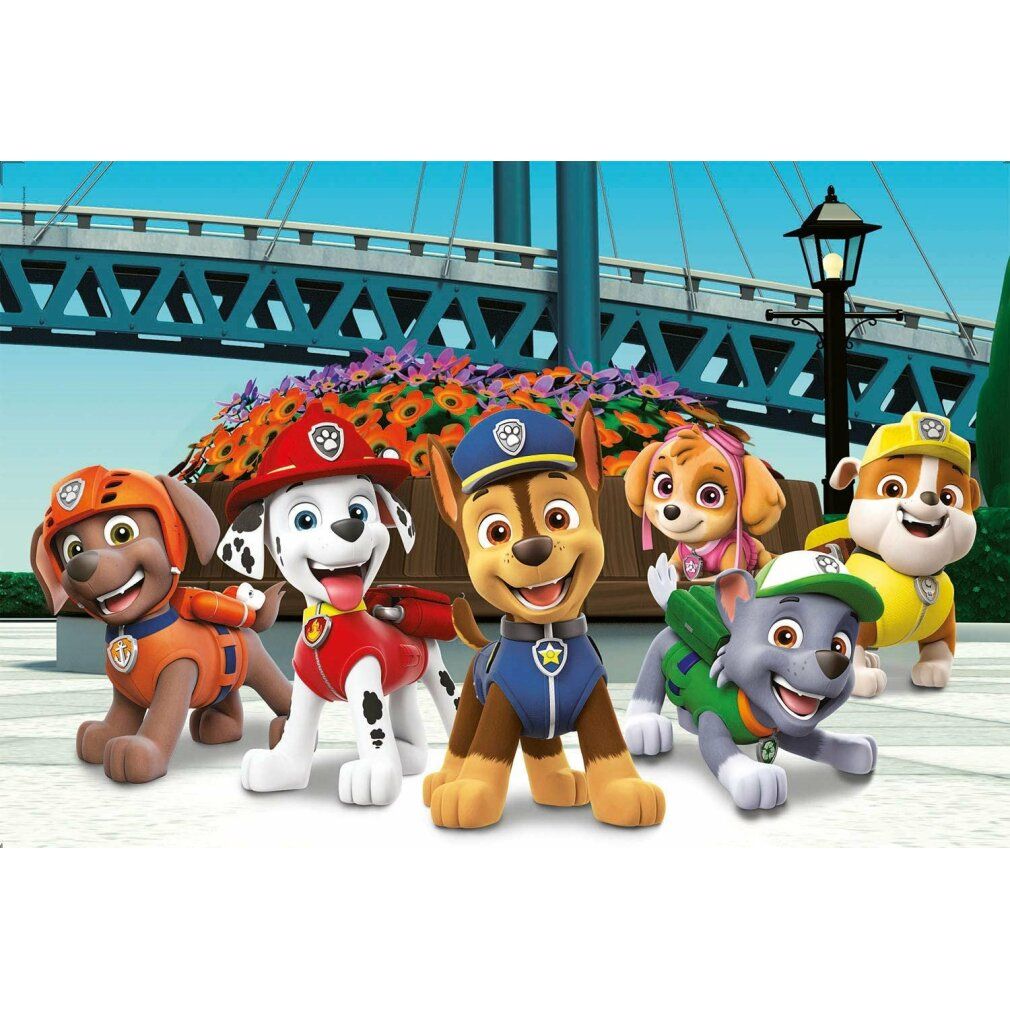 Puzzle Paw Patrol. I personaggi sono davanti a un ponte e fiori.