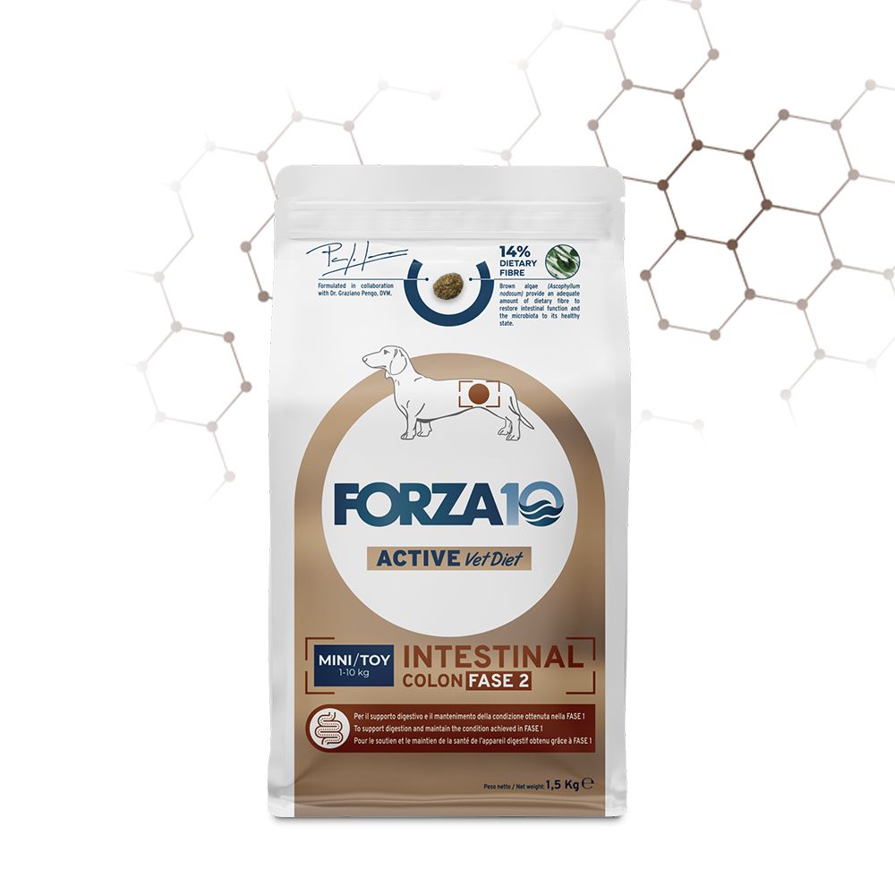 Forza 10 cane intestinal colon Fase-2 mini toy