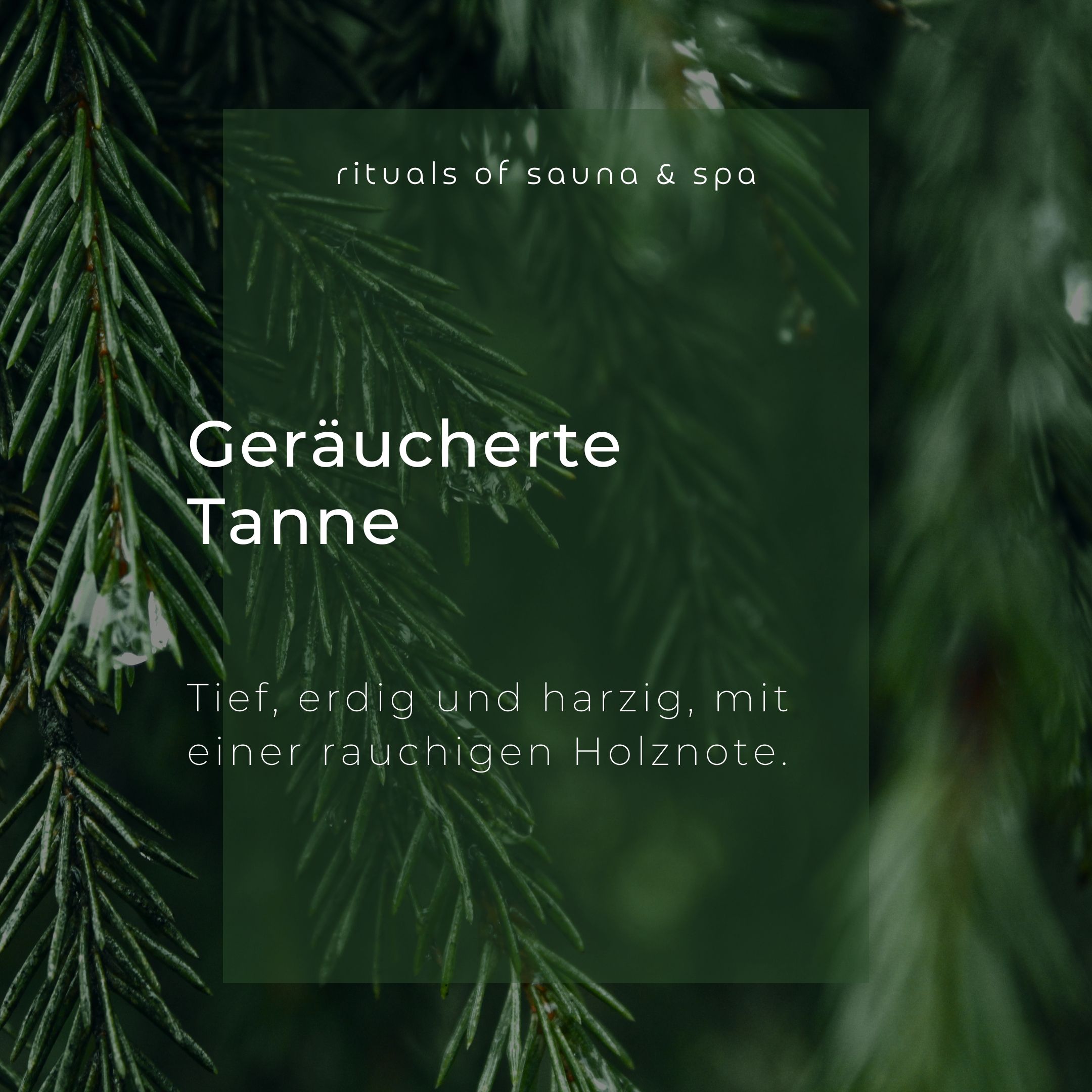 Testo su sfondo verde: Geräucherte Tanne. Profondo, terroso e resinoso, con una nota legnosa affumicata. Circondato da rami di abete.