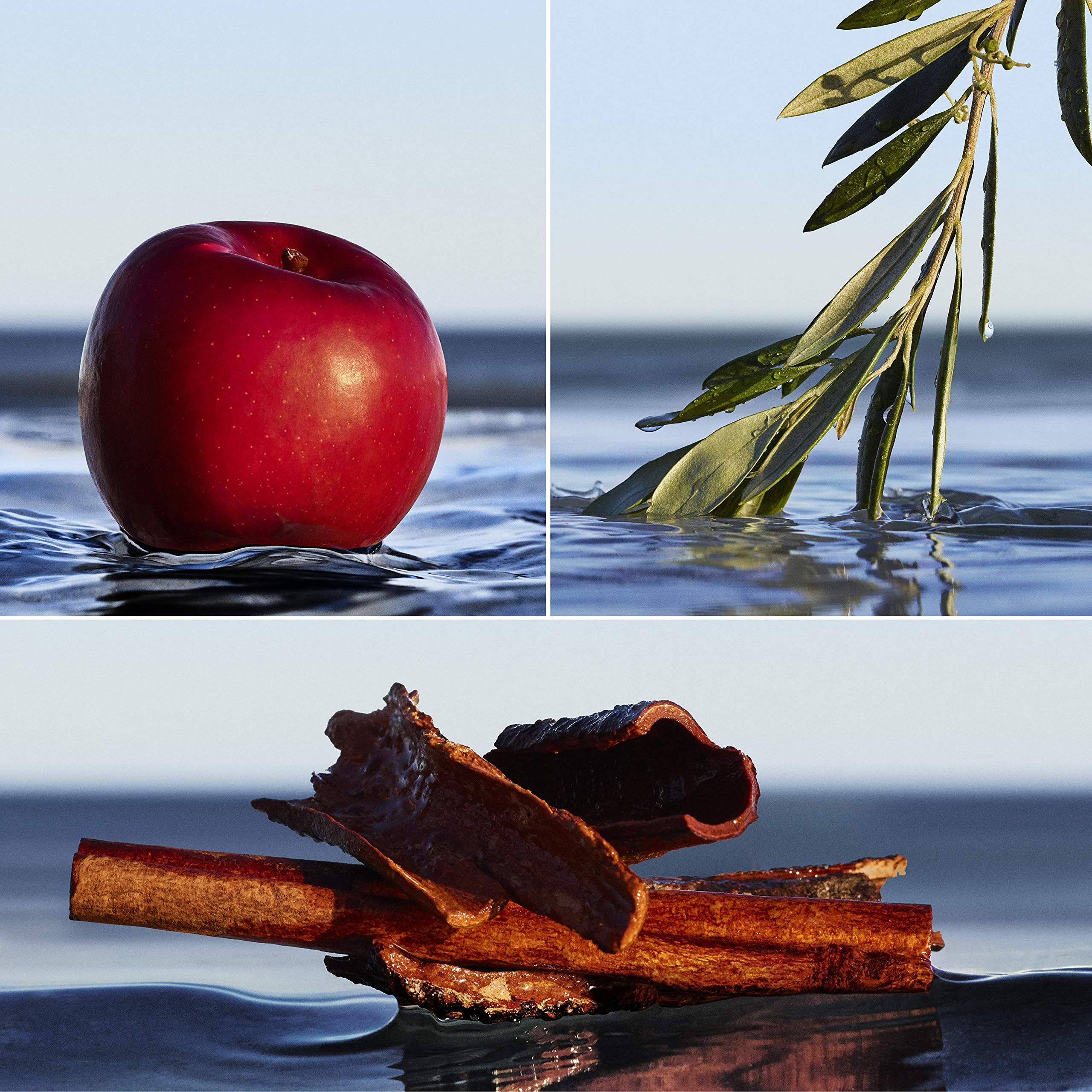 Tre immagini: mela, ramo d'ulivo, bastoncini di cannella nell'acqua. Sfondo: mare e cielo.