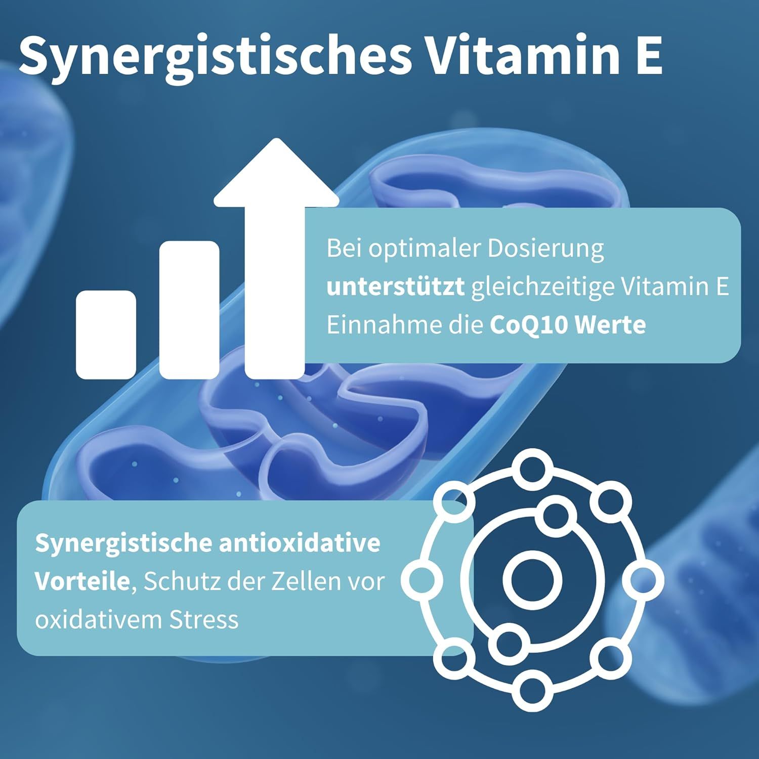 Grafico che mostra i benefici di CoQ10 e vitamina E. Vantaggi sinergici, protezione.
