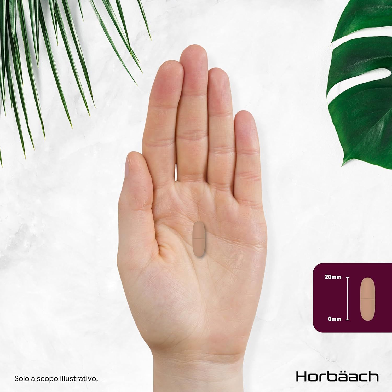 Mano con compressa. Compressa: lunga 20mm. Horbaach.