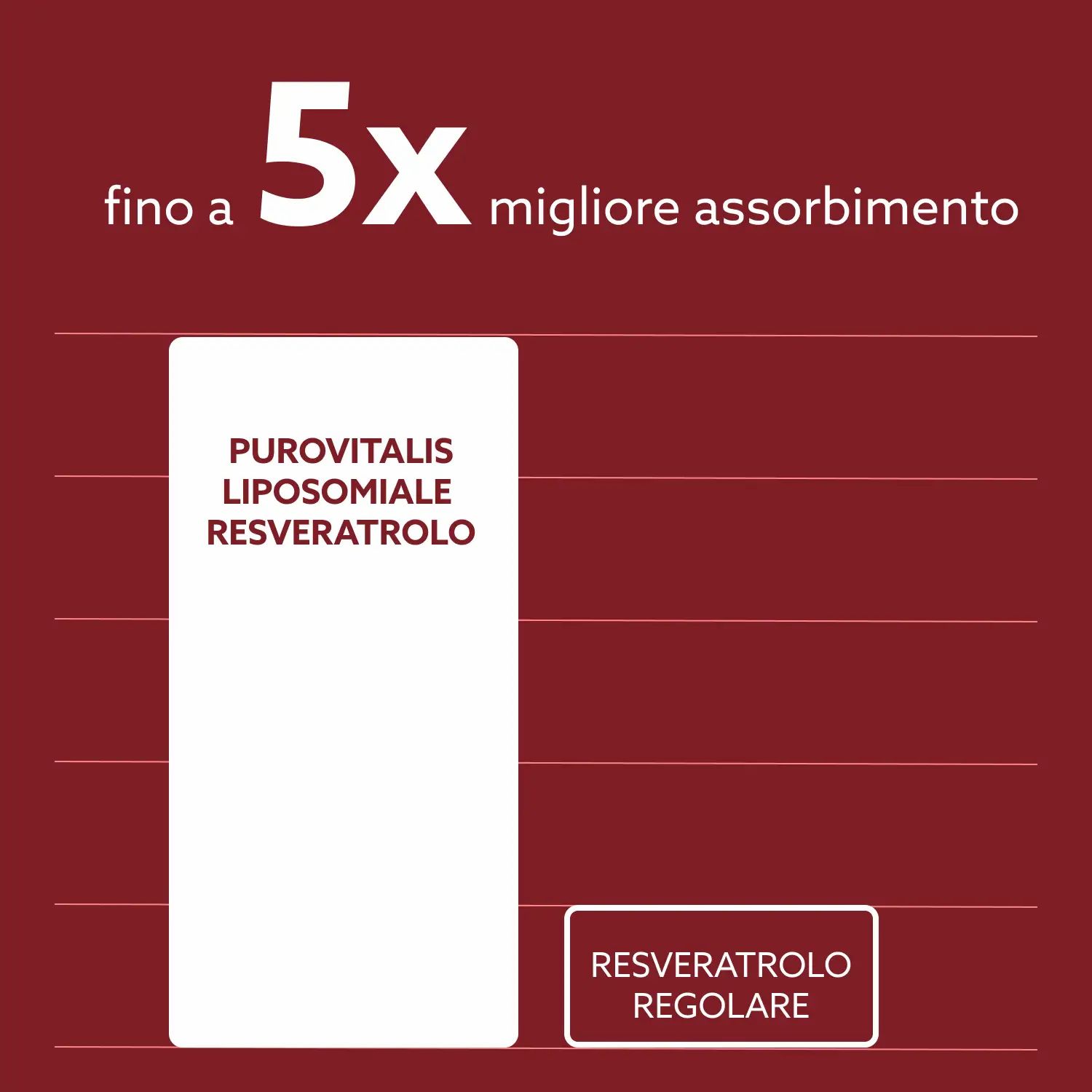 Grafico: Purovitalis Resveratrolo Liposomiale, fino a 5x migliore assorbimento. Confronto con resveratrolo regolare.