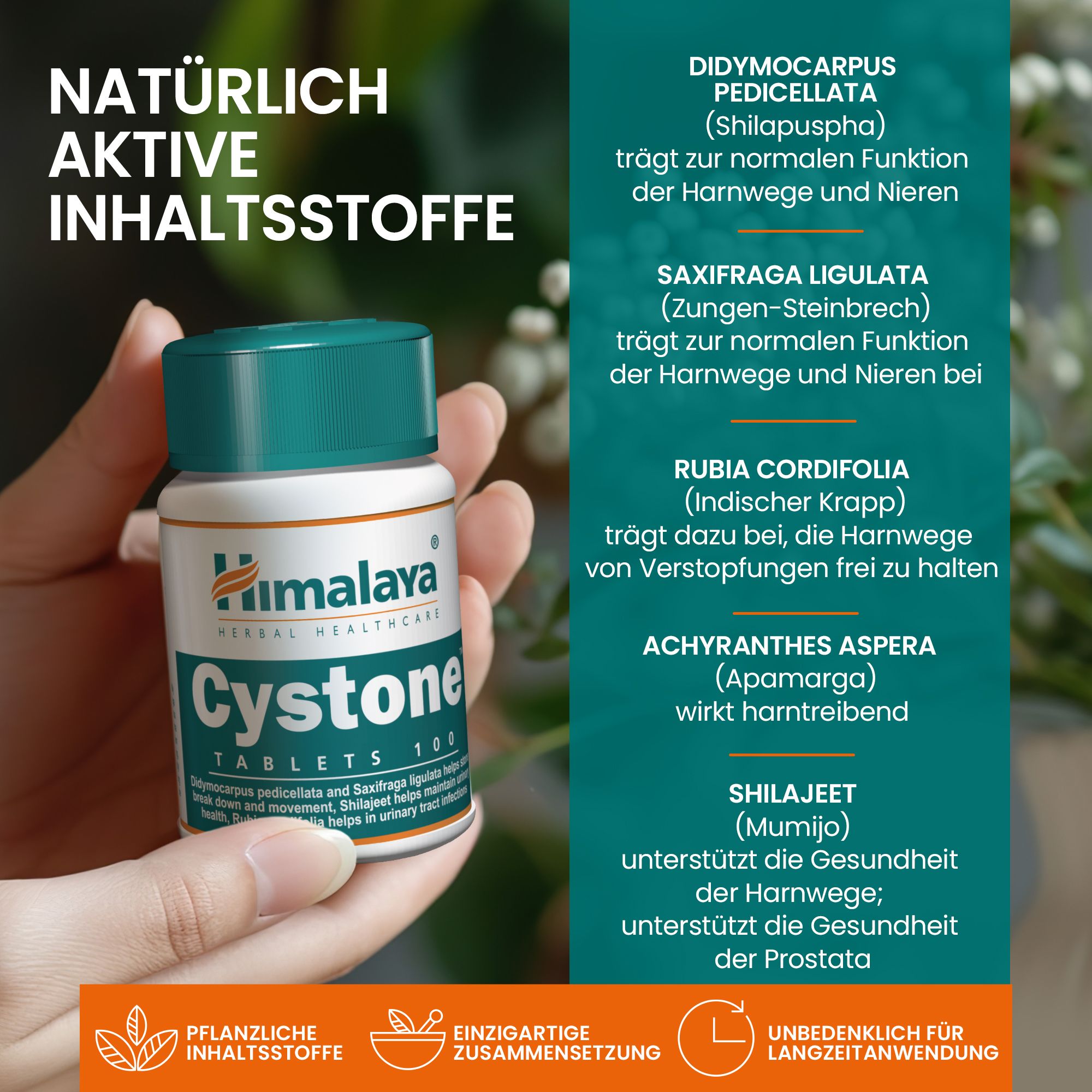 Mano che tiene una bottiglia di Cystone Himalaya accanto all'elenco degli ingredienti naturali.