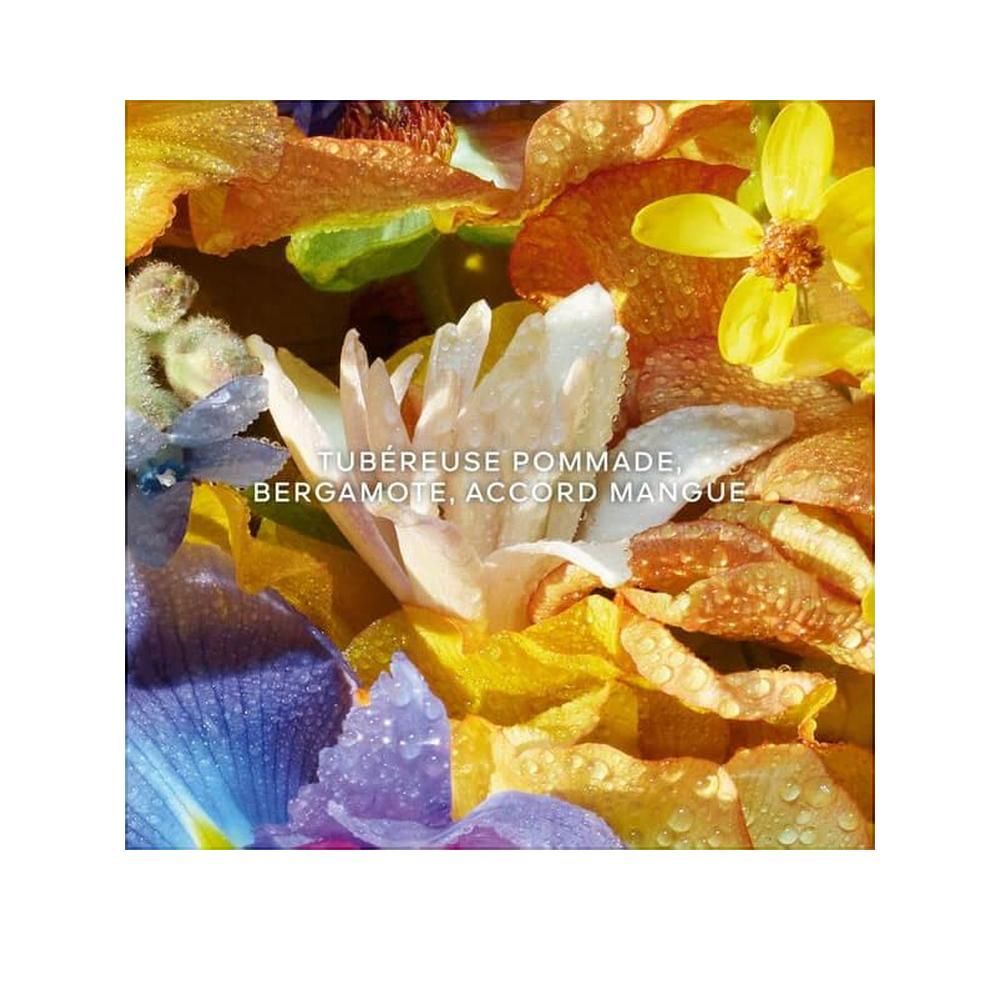 Primo piano di petali gialli, arancioni, blu e bianchi. Testo: Tubéreuse Pommade, Bergamote, Accord Mangue.