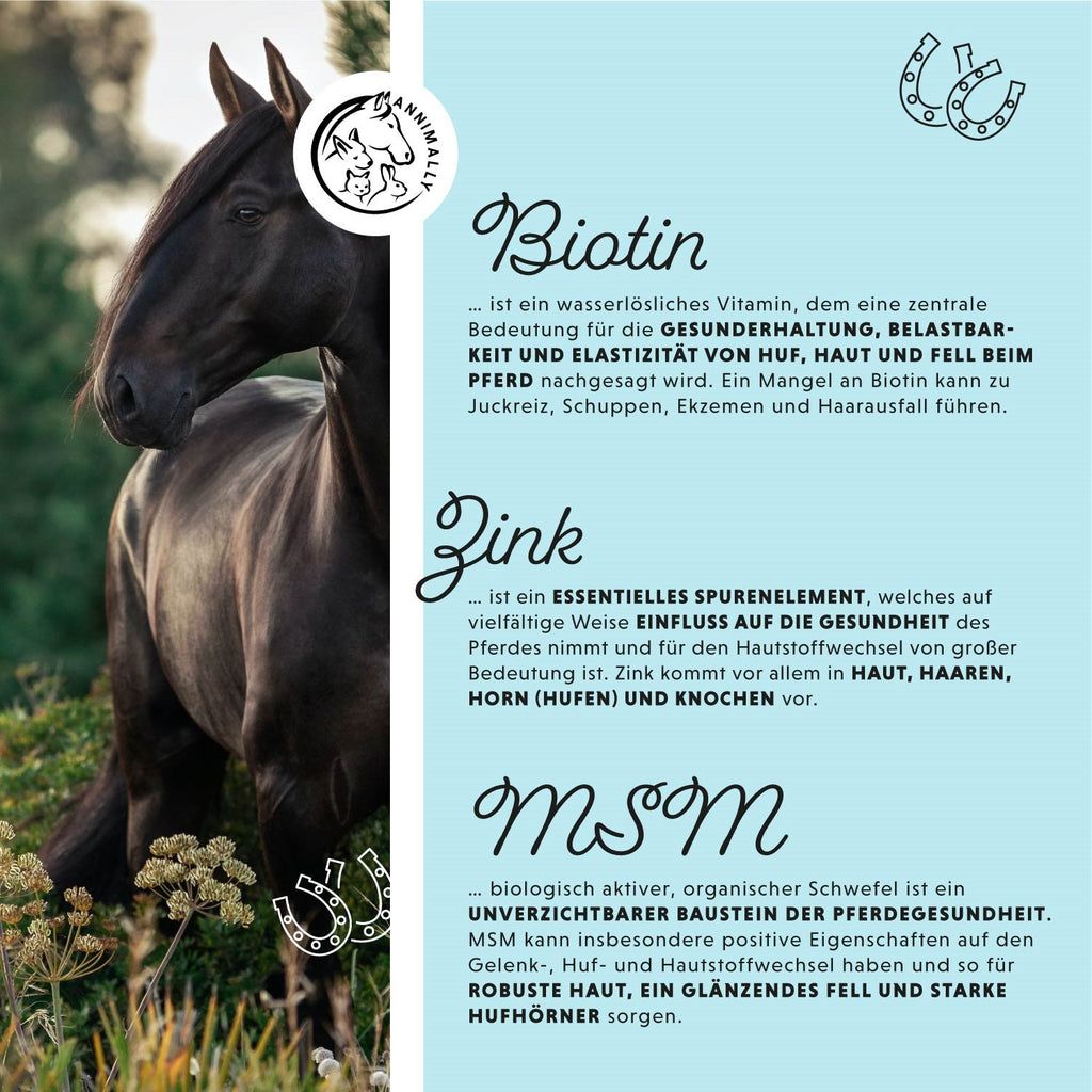 Testo su biotina, zinco e MSM. Immagine di un cavallo nero. Logo con cavallo. Testo sulla salute di zoccoli, pelle e pelo.
