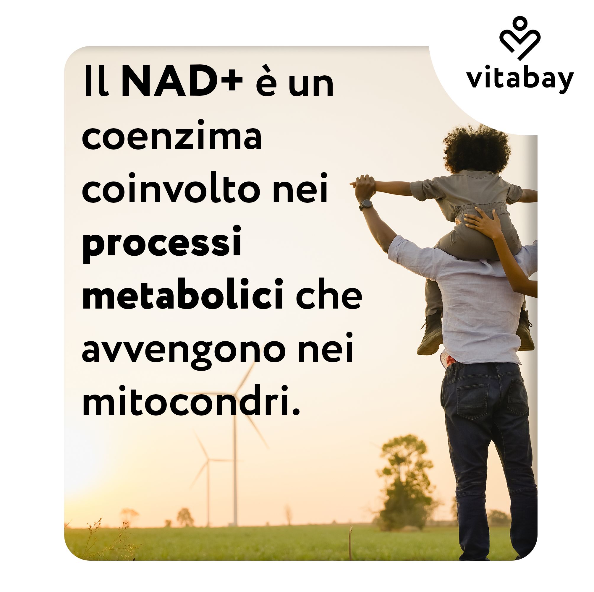 Vitabay NAD+ 1000 mg Trans-Resveratrol 600 mg capsula. Sigilli: Testato in laboratorio in Germania, Vegano.
